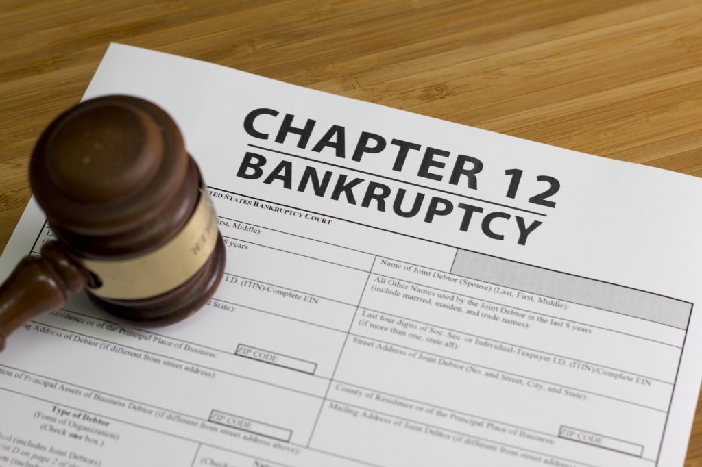 basics-of-chapter-12-bankruptcy